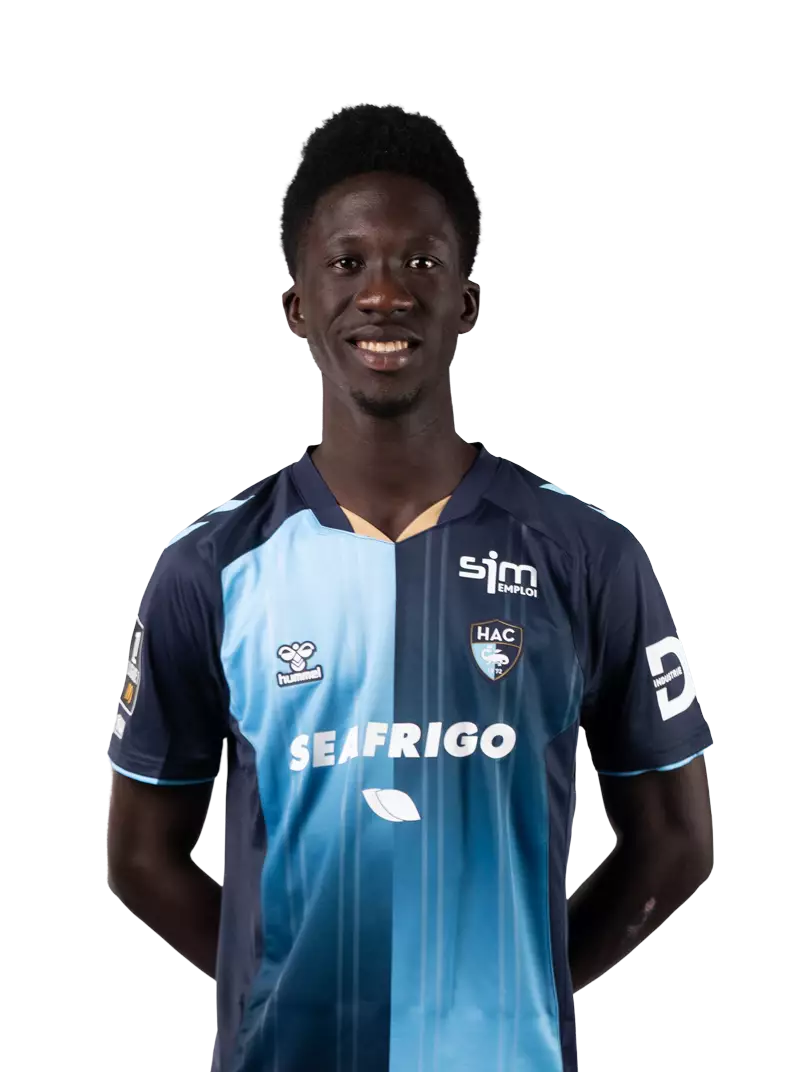 L. Ndiaye