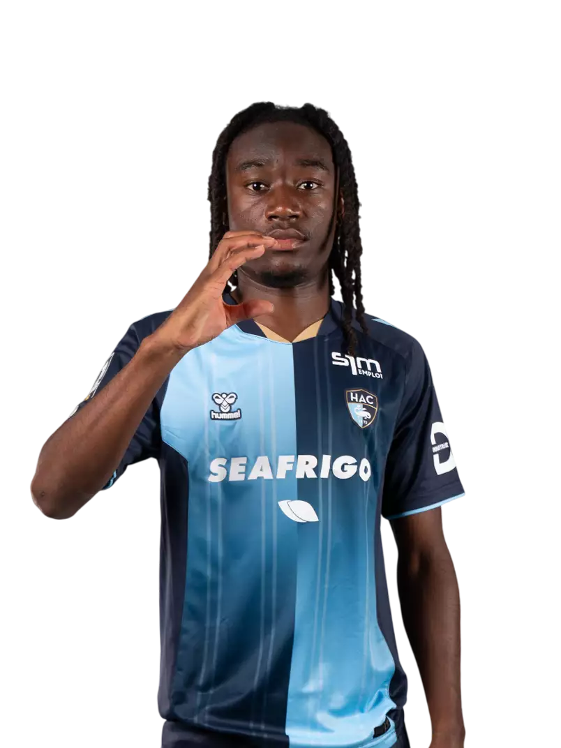 D. Mosengo
