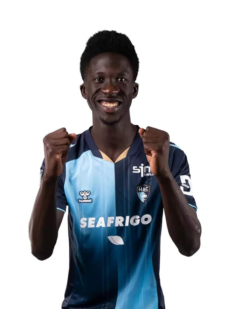 L. Ndiaye